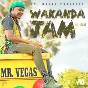 Instrumental: Mr. Vegas - Wakanda Jam